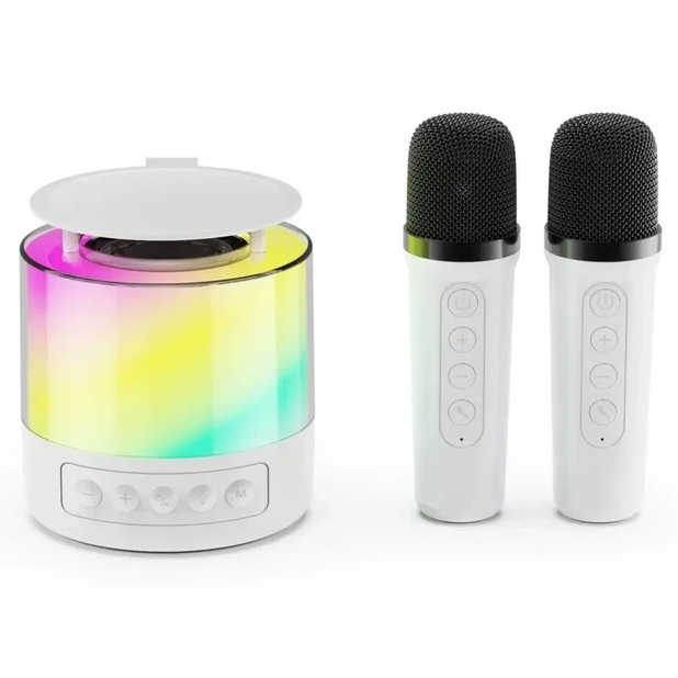 Портативна Bluetooth колонка K19 з підсвічуванням LED та двома мікрофонами для караоке White